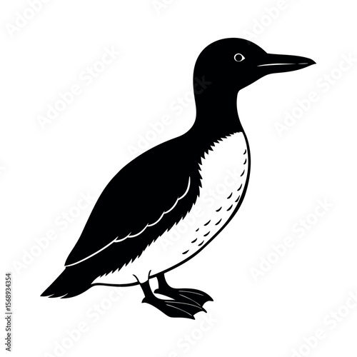 thick billed murre