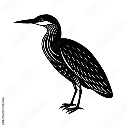 american bittern