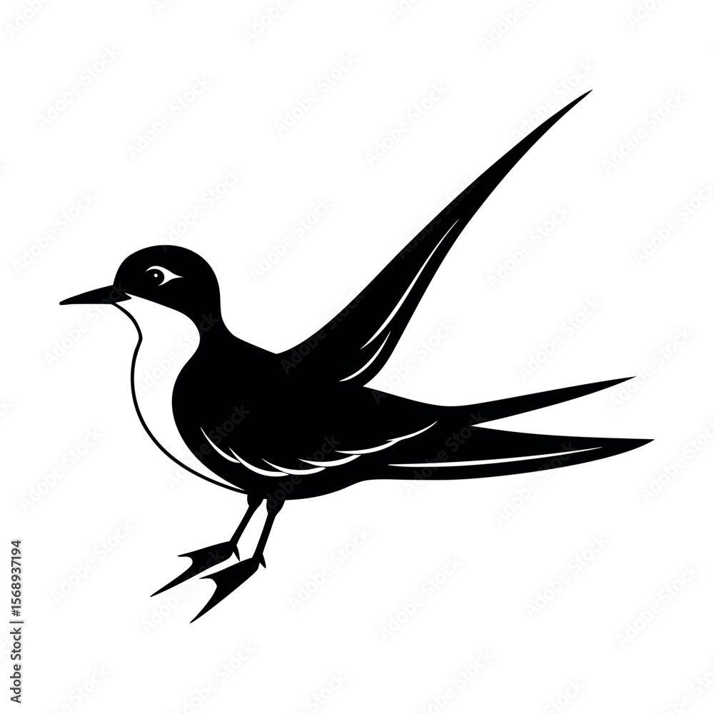 Obraz premium arctic tern