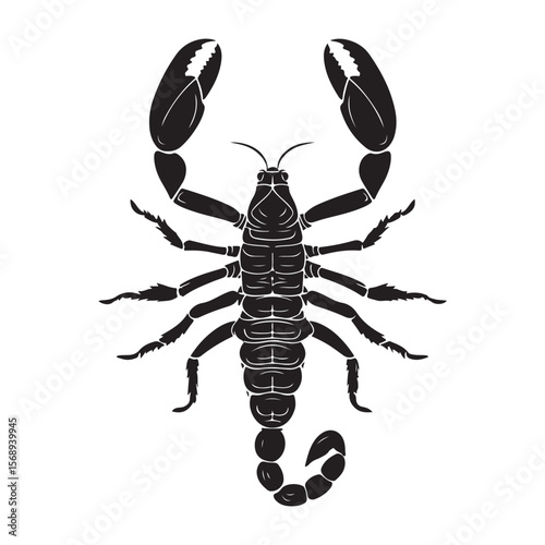 A minimalist silhouette vector of a scorpion, scorpion isolated on white background, Black and white scorpion silhouette, ideal for logos, branding, and wildlife themed digital art