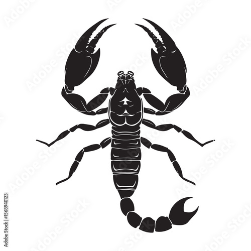 A minimalist silhouette vector of a scorpion, scorpion isolated on white background, Black and white scorpion silhouette, ideal for logos, branding, and wildlife themed digital art