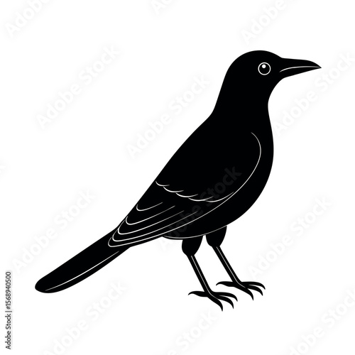 Cuadro en lienzo clark s nutcracker