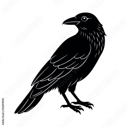 common raven