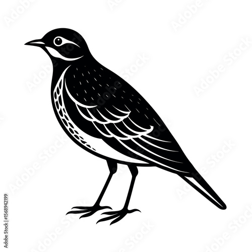 eurasian skylark 