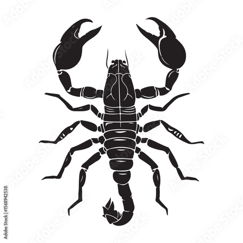A minimalist silhouette vector of a scorpion, scorpion isolated on white background, Black and white scorpion silhouette, ideal for logos, branding, and wildlife themed digital art