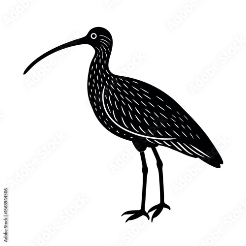 long billed curlew