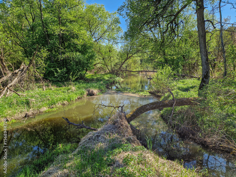 Fototapeta premium Small river Grabia in central Poland.
