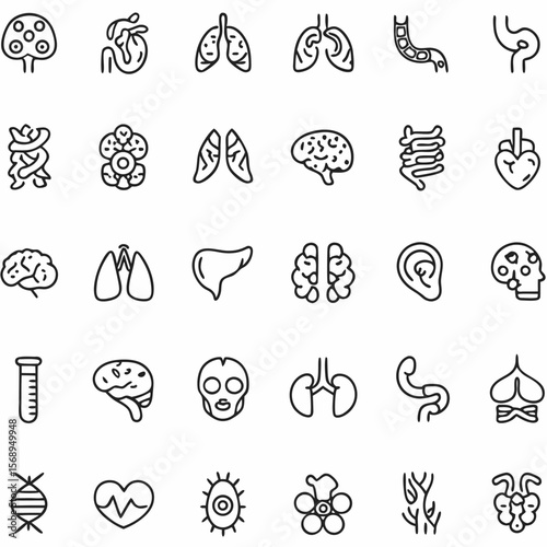 food icons set isolated on white background