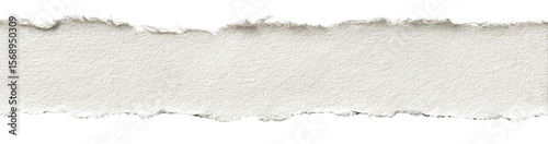 Ripped Edge White Paper Texture Strip on Transparent Background