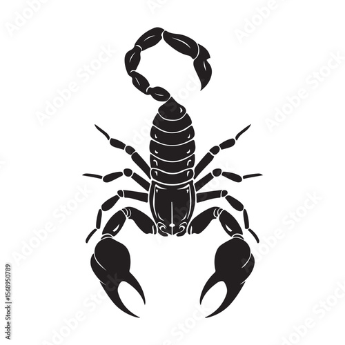 A minimalist silhouette vector of a scorpion, scorpion isolated on white background, Black and white scorpion silhouette, ideal for logos, branding, and wildlife themed digital art