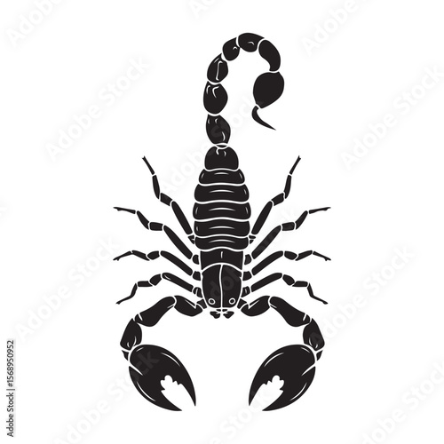 A minimalist silhouette vector of a scorpion, scorpion isolated on white background, Black and white scorpion silhouette, ideal for logos, branding, and wildlife themed digital art
