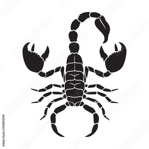 A minimalist silhouette vector of a scorpion, scorpion isolated on white background, Black and white scorpion silhouette, ideal for logos, branding, and wildlife themed digital art