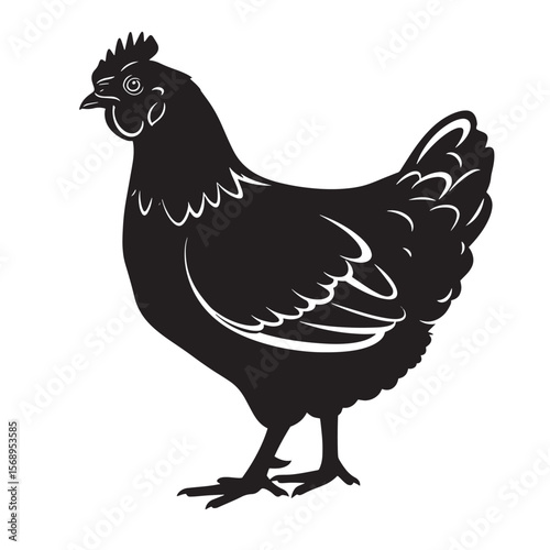 Silhouette illustration of a standing chicken featuring detailed feather and body outlines