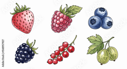 Happy summer text set vector icon of assorted berries including strawberry, blueberry and raspberry