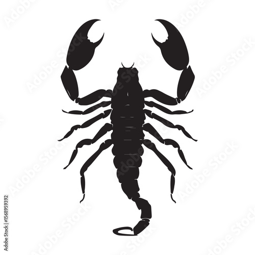 A minimalist silhouette vector of a scorpion, scorpion isolated on white background, Black and white scorpion silhouette, ideal for logos, branding, and wildlife themed digital art