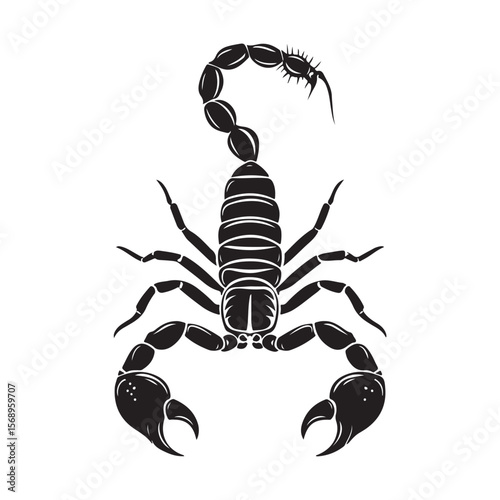 A minimalist silhouette vector of a scorpion, scorpion isolated on white background, Black and white scorpion silhouette, ideal for logos, branding, and wildlife themed digital art