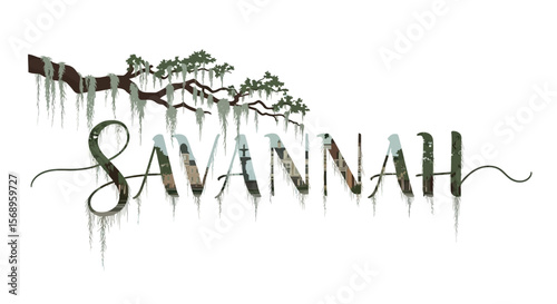 Savannah Georgia with Moss, Tree, and USA.