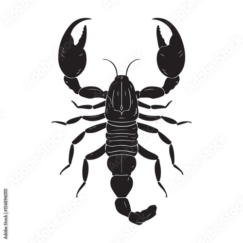 A minimalist silhouette vector of a scorpion, scorpion isolated on white background, Black and white scorpion silhouette, ideal for logos, branding, and wildlife themed digital art