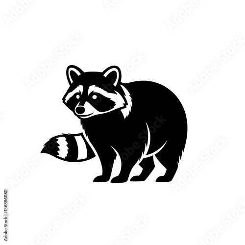 Alert Common Raccoon Dog in Natural Forest Habitat, Wildlife