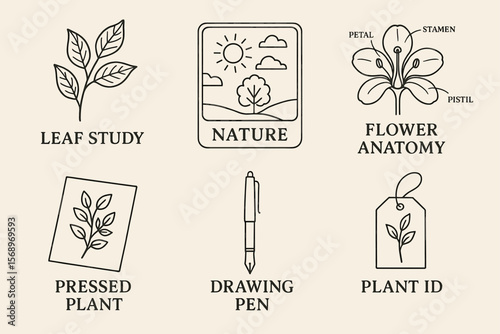 Nature study elements leaf flower drawing pen plant id illustration