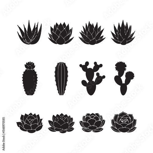 Twelve Black Silhouettes of Succulents and Cacti on White Background Aloe Vera Cactus Plants Echeveria Succulent Designs Botanical Illustrations