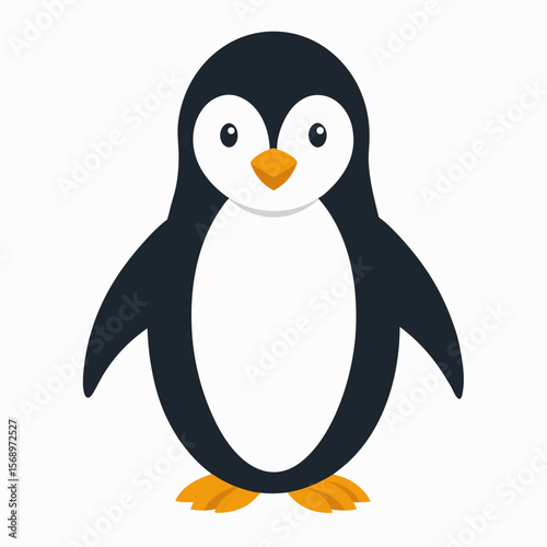 penguin on a white background