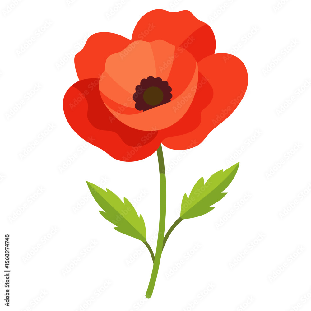 Naklejka premium red poppies isolated on white