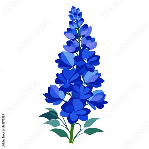 blue flowers isolated on white background