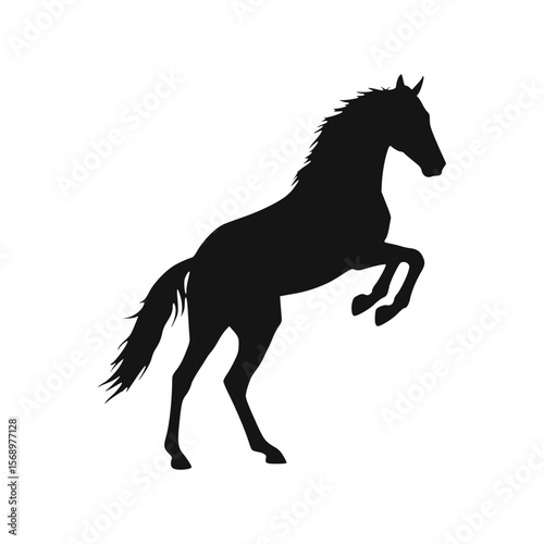 Silhouette of a rearing horse, powerful and majestic, captured in a dynamic pose.