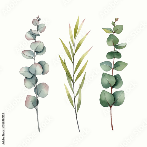 A versatile vector set of eucalyptus branches with a realistic watercolor texture. Isolated and scalable, featuring a rustic green and dusty rose palette.
