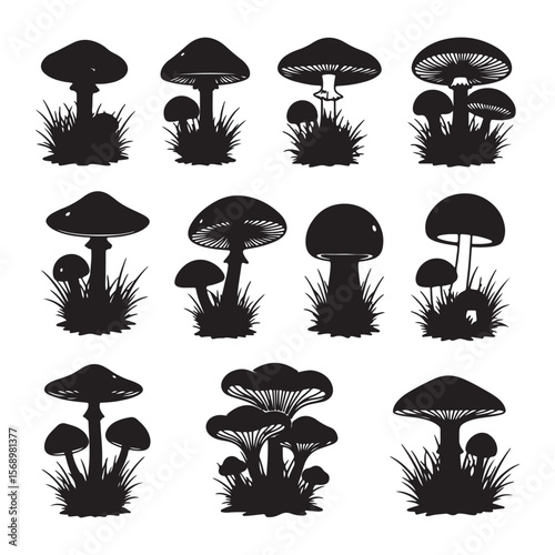 Various black mushroom silhouettes with grass fungi nature