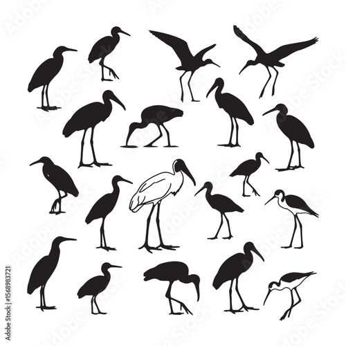 Various wading birds in silhouette and line drawing herons egrets