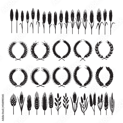 Wheat stalks and laurel wreaths barley grain