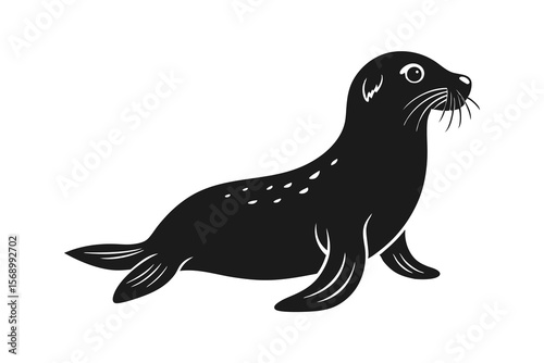 sea lion seal vector illustration on white background