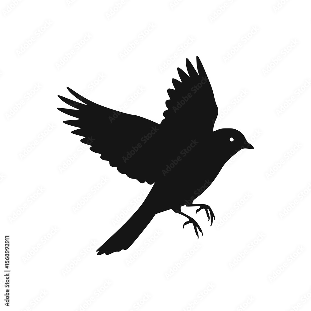 Silhouette of a bird in flight, wings spread, isolated against a white background. Silhouette of a bird in flight, wings spread, isolated against a white background.