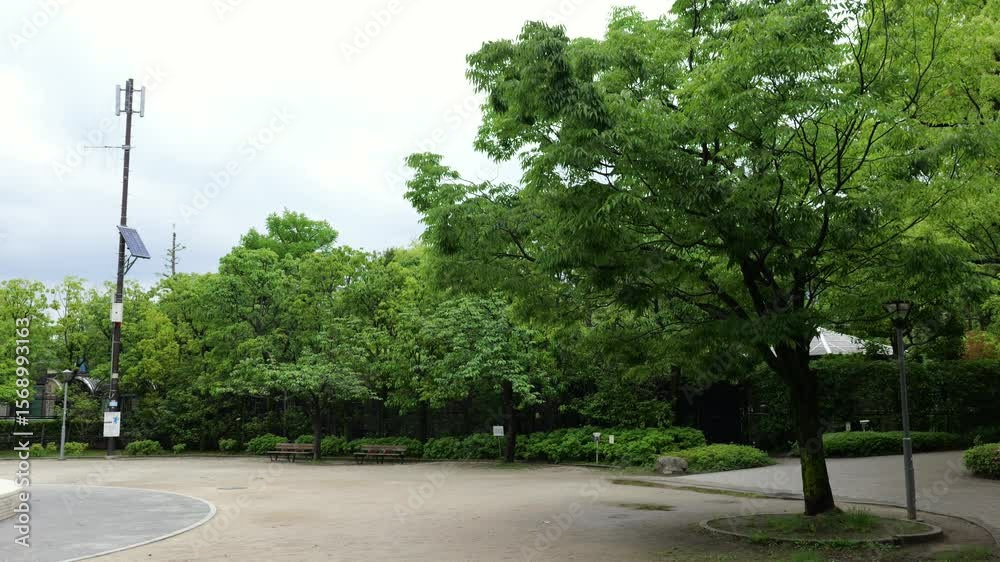 東京　行船公園　2025年