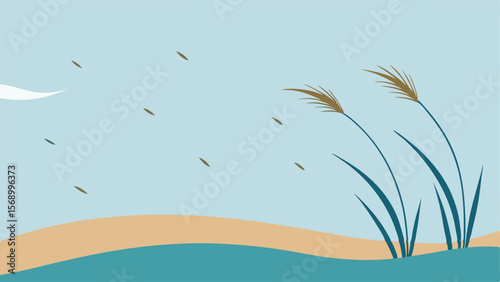 sand dunes on the beach landscape
