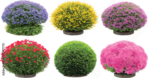 Set of vibrant flowering garden bushes, various colors and species, realistic vector illustrations, isolated on white background, perfect for landscaping, floral design, botany themes