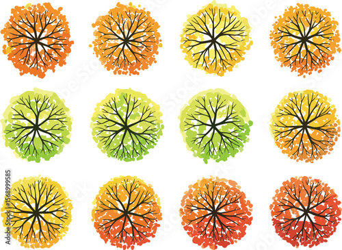 Top view autumn trees set, colorful seasonal foliage vector collection, fall tree watercolor clipart, vibrant leaves texture for landscape design and planning