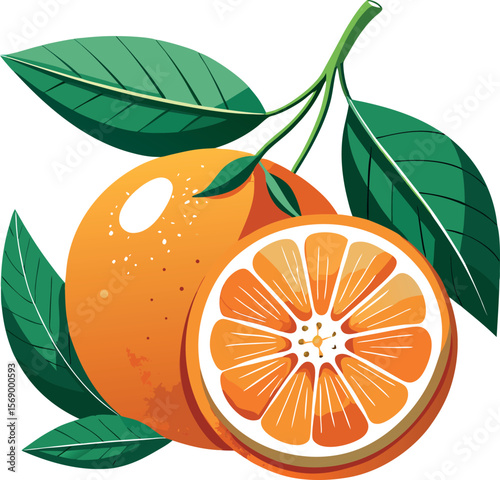 Vibrant illustration of a whole orange and a juicy slice with green leaves on a white background