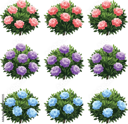 Cartoon hydrangea flower bushes set in pink, purple, blue colors, decorative blooming shrubs collection, garden floral foliage clipart, landscape plant vector elements