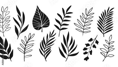 Set of hand drawn tropical leaves. Silhouettes of abstract branches in minimalist style. Vector illustration in black white colors.leaf, outline, abstract, illustration, botany, monstera, nature, 