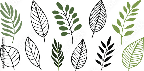 Set of hand drawn tropical leaves. Silhouettes of abstract branches in minimalist style. Vector illustration in black white colors.leaf, outline, abstract, illustration, botany, monstera, nature, 