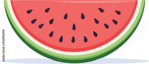 Watermelon slice. Concept of healthy lifestyle. Natural ripe fresh summer food. Hand drawn flat vector illustration isolated on white background.colourful, colours, graphic, juicy, signs, vitamin, 