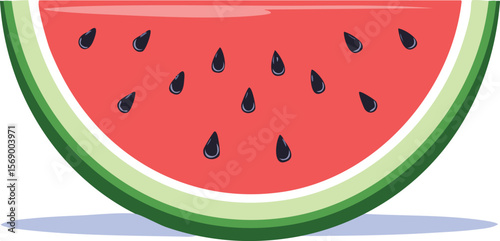 Watermelon slice. Concept of healthy lifestyle. Natural ripe fresh summer food. Hand drawn flat vector illustration isolated on white background.colourful, colours, graphic, juicy, signs, vitamin, 