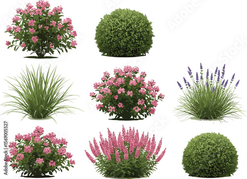 Set of flowering bushes and green shrubs, cartoon garden plants, landscaping elements, decorative flowers, botanical foliage clipart, seasonal floral outdoor nature illustration