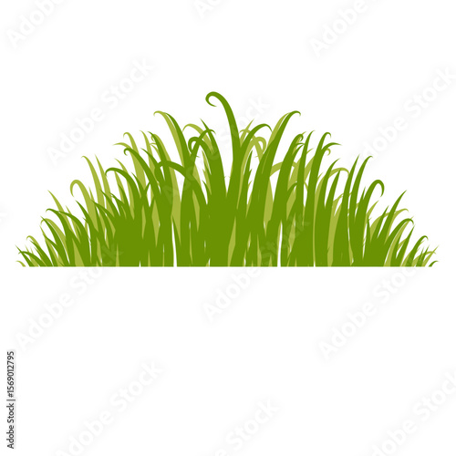 Grass Border 