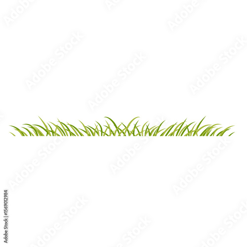 Green grass Border 