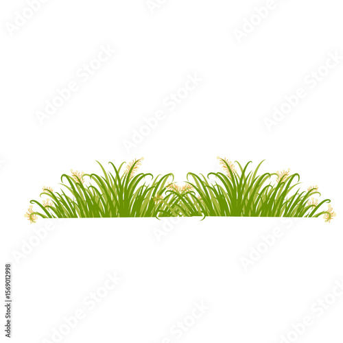 Grass Border frame 