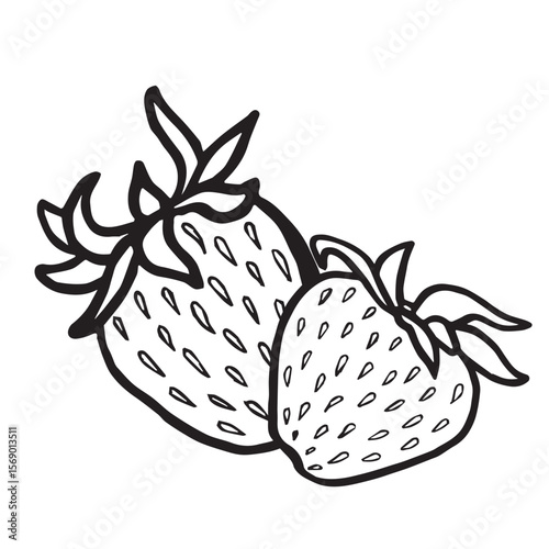 Two strawberry hand drawn isolated vector illustration for food product desing. Fresh garden berries black and white sketch, organic healthy food. Summer fruit in line art style for cosmetic, textile.